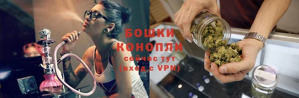 ГАЛЛЮЦИНОГЕННЫЕ ГРИБЫ Наволоки