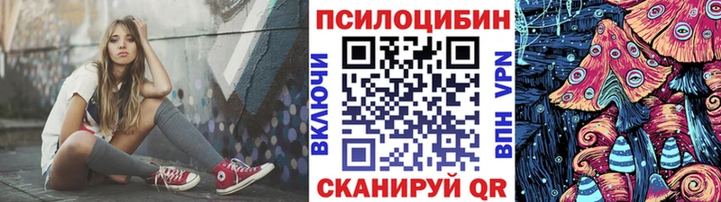 магазин  наркотиков  Нижнеудинск  Псилоцибиновые грибы Psilocybine cubensis 