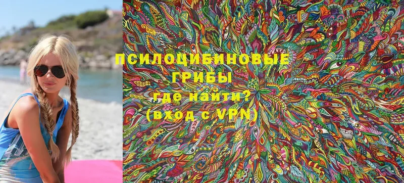 сколько стоит  Нижнеудинск  Галлюциногенные грибы Psilocybine cubensis 