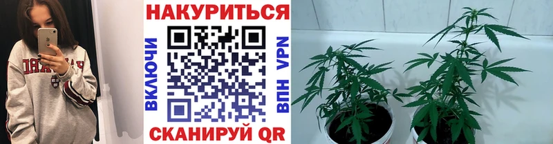 площадка формула  мега как зайти  Нижнеудинск  купить наркоту  МАРИХУАНА Amnesia 